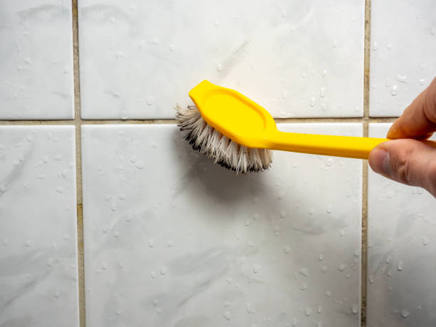 Best Black Mold Removal  in Winlock, WA
